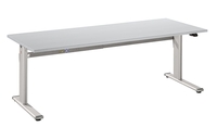 Hammerbacher XM 2E Schreibtisch 200 x 100 elektrisch höhenverstellbar 72-119 cm 1 Motor