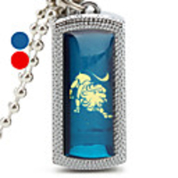 4GB Leo Sternzeichen Stil USB-Stick (farbig sortiert)