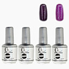 4tlg CH Silber Bottle Soak-off UV Gel Set Top Coat Base 2 UV Gel Farbe Builder Gel (No.113-114,  15 ml)