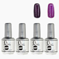 4tlg CH Silber Bottle Soak-off UV Gel Set Top Coat Base 2 UV Gel Farbe Builder Gel (No.113-114,  15 ml)