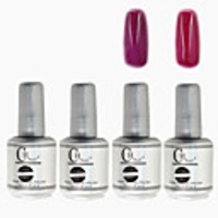 4tlg CH Silber Bottle Soak-off UV Gel Set Top Coat Base 2 UV Gel Farbe Builder Gel (No.37-38,  15 ml)