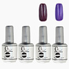 4tlg CH Silber Bottle Soak-off UV Gel Set Top Coat Base 2 UV Gel Farbe Builder Gel (No.65-66,  15 ml)