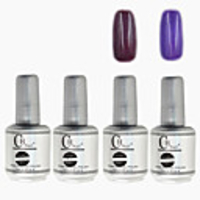 4tlg CH Silber Bottle Soak-off UV Gel Set Top Coat Base 2 UV Gel Farbe Builder Gel (No.65-66,  15 ml)