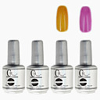 4tlg CH Silber Bottle Soak-off UV Gel Set Top Coat Base 2 UV Gel Farbe Builder Gel (No.79-80,  15 ml)