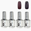4tlg CH Silber Bottle Soak-off UV Gel Set Top Coat Base 2 UV Gel Farbe Builder Gel (No.85-86,  15 ml)