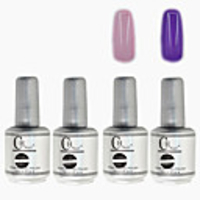 4tlg CH Silber Bottle Soak-off UV Gel Set Top Coat Base 2 UV Gel Farbe Builder Gel (Nr.17-18,  15 ml)