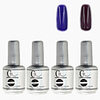 4tlg CH Silber Bottle Soak-off UV Gel Set Top Coat Base 2 UV Gel Farbe Builder Gel (Nr.51-52,  15 ml)
