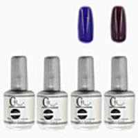 4tlg CH Silber Bottle Soak-off UV Gel Set Top Coat Base 2 UV Gel Farbe Builder Gel (Nr.51-52,  15 ml)