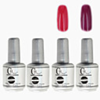 4tlg CH Silber Bottle Soak-off UV Gel Set Top Coat Base 2 UV Gel Farbe Builder Gel (Nr.59-60,  15 ml)