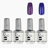 4tlg CH Silber Bottle Soak-off UV Gel Set Top Coat Base 2 UV Gel Farbe Builder Gel (Nr.67-68,  15 ml)