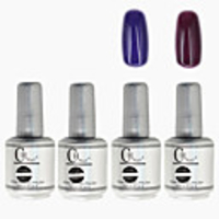 4tlg CH Silber Bottle Soak-off UV Gel Set Top Coat Base 2 UV Gel Farbe Builder Gel (Nr.95-96,  15 ml)