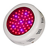 7 7 2 Zoll 50W LED Grow Light Metal-Malerei