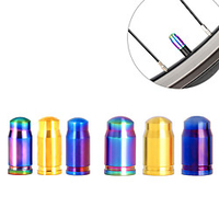 700CC / 29 inch / 26 inch mm Radfahren Ventildeckel Sonstiges Material / Ti-Legierung / Fasergemisch Radsport Speichen mm Lightinthebox