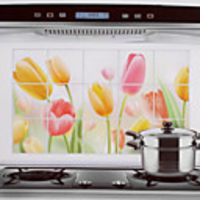 75x45cm Colorful Tulip Oil Pattern-Proof Hot Water-Proof-Proof Küche Wandaufkleber