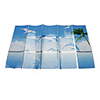 75x45cm Dolphin Pattern Öl-Proof Water-Proof Wandaufkleber