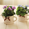 7.87 "Photokatalysator Materialien Kleine Begonia Blumengesteck New Style mit lila Farbe