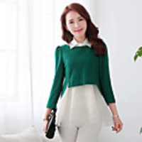 Caelyn Frauen Mesh-Pan-Kragen Grünes Kleid