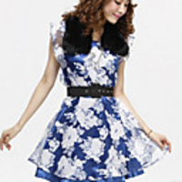 Caelyn Frauen Ärmelloses Mesh-Transparent Blue Kleid