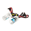 H1 10000K Xenon-Lampen-Birne