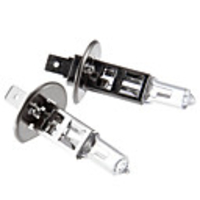 H1 12V 100W Ordinary White Light Halogen-Glühlampen (1 Paar)