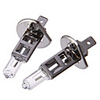 H1 12V 55W Ordinary White Light Halogen-Glühlampen (1 Paar)