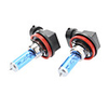 H11 100W 12V Auto-Halogen-Glühlampe Gefüllt mit Xenon