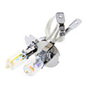 H3 100W 12V Auto-Halogen-Glühlampe Gefüllt mit Xenon-Licht Gelb
