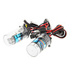 H4-2 3010K Xenon-Lampen-Birne