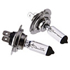 H7 12V 55W Ordinary White Light Halogen-Glühlampen (1 Paar)