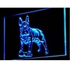 J126 Französisch Bulldog Dog Pet Shop Neonlicht-Zeichen