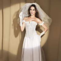 Jacquard Reißverschluss und Lace-up Plastic Boning Korsett Shapewear (weitere Farben)