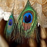 Maizi Frauen-Pfau-Feder-Ohrringe jik-208