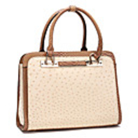 Makko Ol Ostrich Stripe Streifen mit Boa Pu-Farbabstimmung tragbare Tasche (Screen Color)
