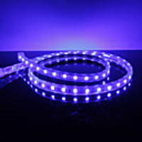 Waterproof 10W / M 5050 SMD Blue Light LED-Streifen-Lampe (220V,  Länge wählbar)