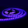 Waterproof 5M 300x3528 SMD Blue Light LED Strip Lampe (12V)