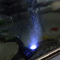 Waterproof solarbetriebene 6-LED-Strahler Garten Outdoor Flood Lampe (Cis-57157)