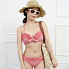 WD88120 Frauen Sexy Halter Stahlstütze Red Bikini
