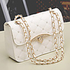 Weicai Damenmode Einzel-Schulter-Kette Crossbody-Tasche (weiß)