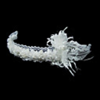 weiße Rosette Blumenmädchen Girlande / Kopfstück mit Spitzen und Federn