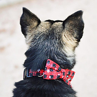 Weihnachtshundehalsband verstellbar weiche bequeme Muster Urlaubshundehalsbänder für kleine mittlere und große Hunde Lightinthebox