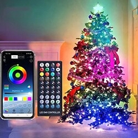 weihnachtslichterketten rgb 20/10/5m fernbedienung punktsteuerung magische farbe led lederdraht lichterketten 5m 10m 20m usb bluetooth app steuerung weihnachtsatmosphäre dekoration wasserdichte