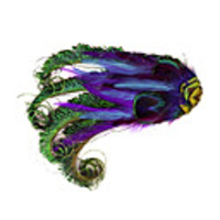 Weinlese-Feder Fascinator für Frauen ein Pc