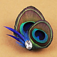 Weinlese-Feder Fascinator für Frauen ein Pc