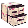 Würdevolle Hausfrau Bauhinia Serie zwei Schichten Drei Schubladen Aufbewahrungsbox (Screen Color)