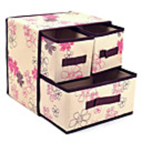 Würdevolle Hausfrau Bauhinia Serie zwei Schichten Drei Schubladen Aufbewahrungsbox (Screen Color)