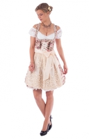 Minidirndl Blumenzauber 50cm 2tlg. CHANEL Floraldruck rose