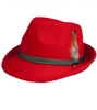 Trachtenhut HT750 rot mit Feder