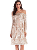 Abendkleid A-Line Langarm rückenfreie Polyester-Spitzenkleider Langes Partykleid Festzugskleid