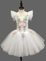 Ballettkleid Hellhimmelblau Kinder Ballerina Rüschen Blumen Tutu Kleid Tanzbekleidung
