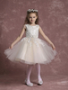 Blumenmädchen Kleider Champagner Abendkleider für Hochzeit Tüll Prinzessin mit Rundkragen Hochzeit knielang kleid blumenmädchen